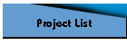 Project List
